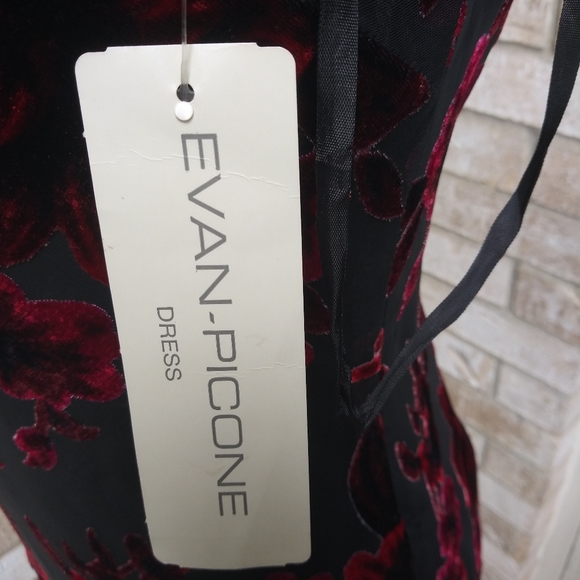 Evan piccone - Picture 3 of 7